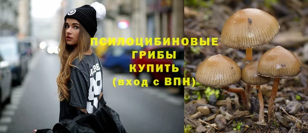 бутират Бородино