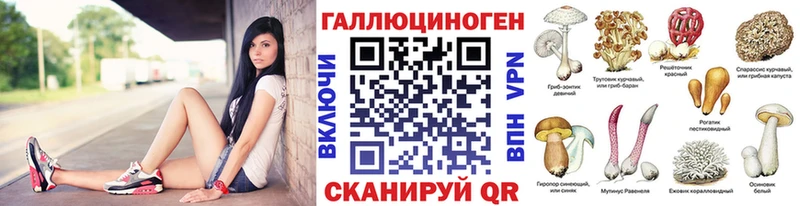 Галлюциногенные грибы GOLDEN TEACHER  ссылка на мегу ТОР  Южно-Сухокумск  магазин продажи  